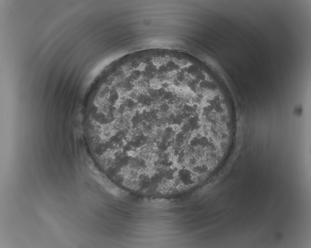 X0000113181019200910161327