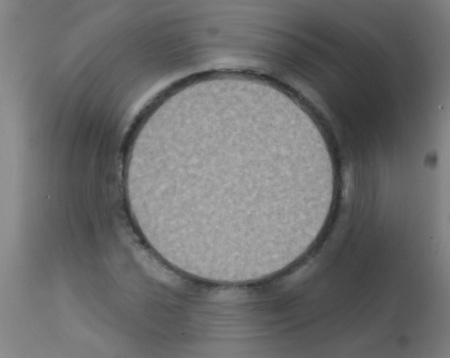 X0000113181021200910161327
