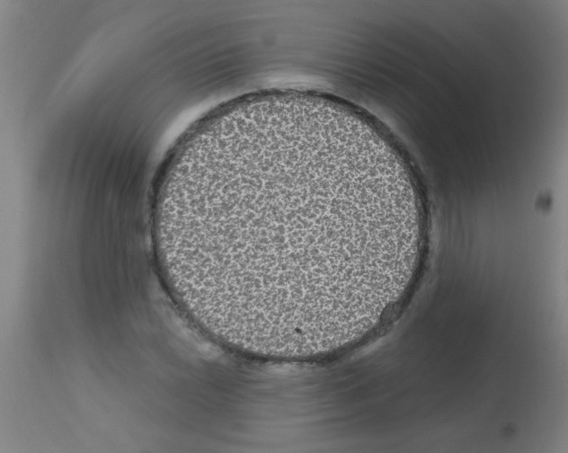 X0000113181022200910161327