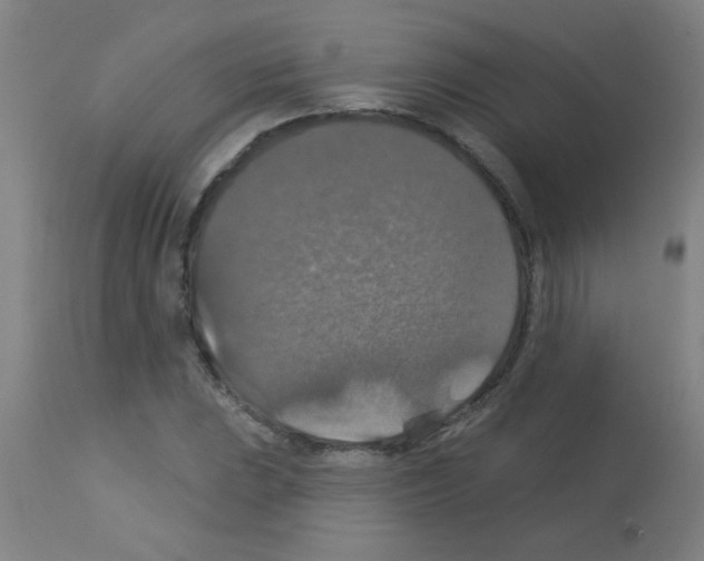 X0000113181023200910161327