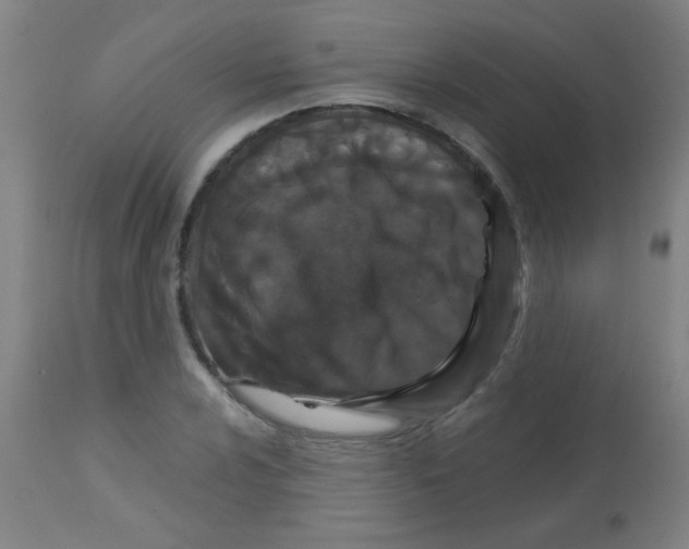 X0000113181024200910161327