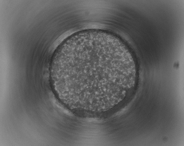 X0000113181025200910161327