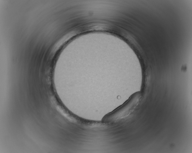 X0000113181026200910161327