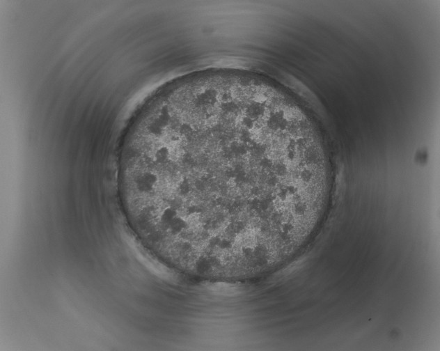 X0000113181027200910161327