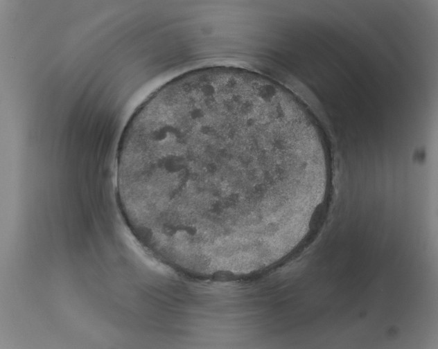 X0000113181028200910161327