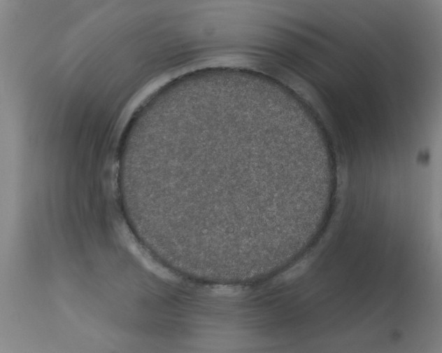 X0000113181029200910161327