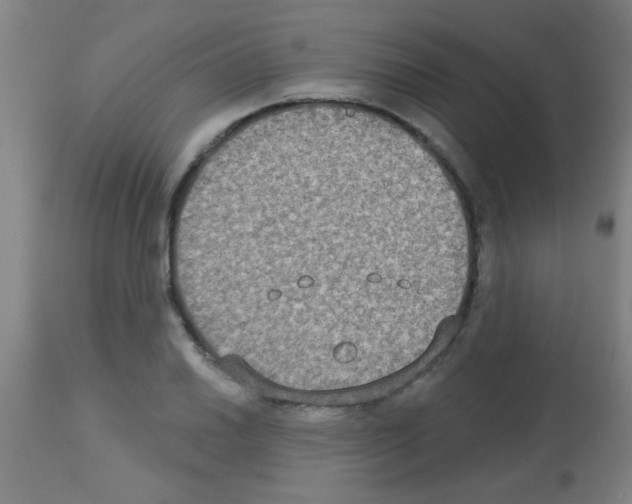 X0000113181030200910161327