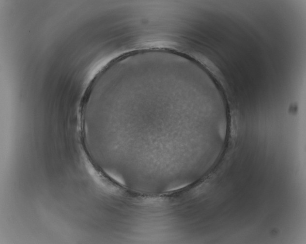 X0000113181031200910161327