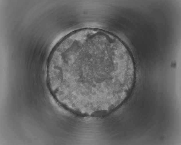 X0000113181032200910161327