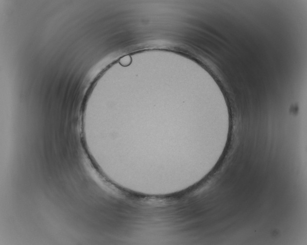 X0000113181034200910161327