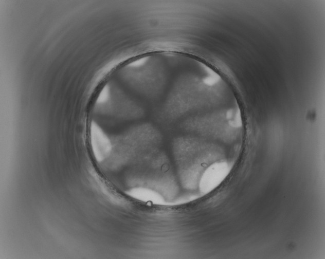 X0000113181035200910161327