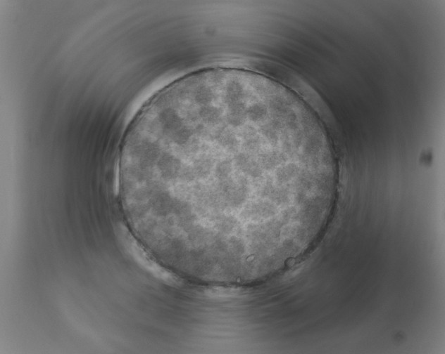 X0000113181036200910161327
