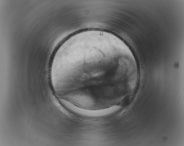 X0000113181037200910161327