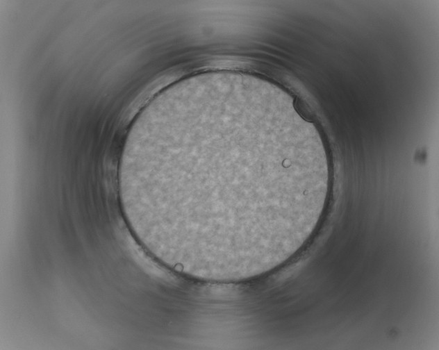 X0000113181041200910161327