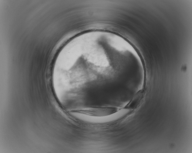 X0000113181045200910161327