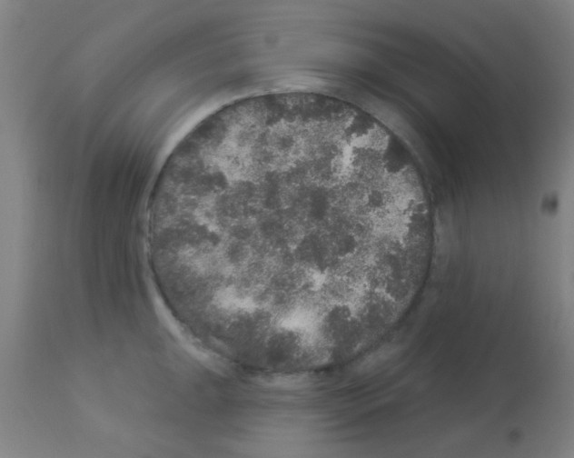 X0000113181047200910161327