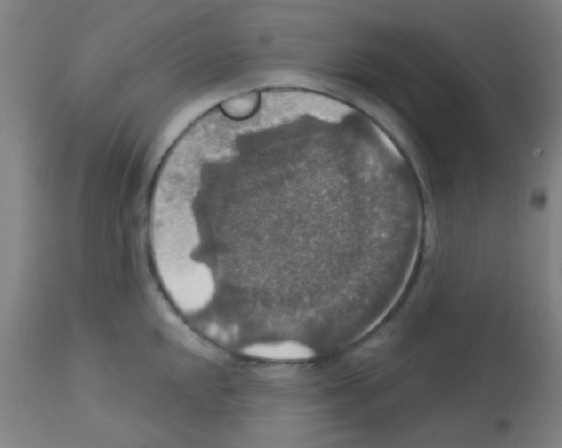 X0000113181048200910161327