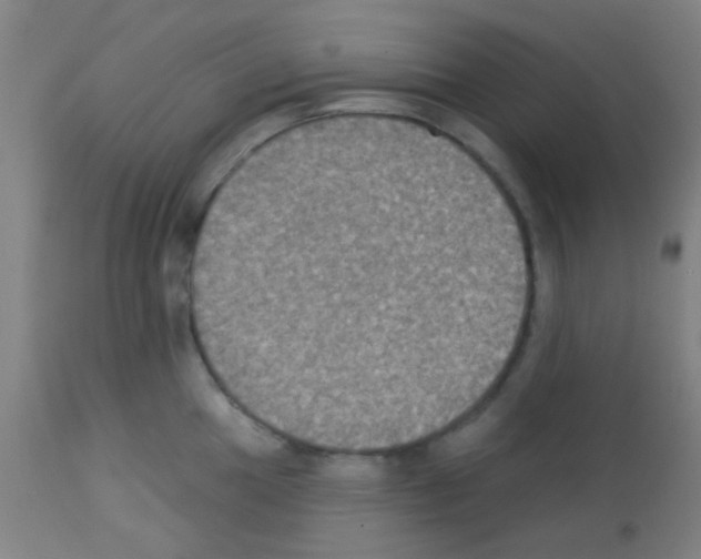 X0000113181049200910161327