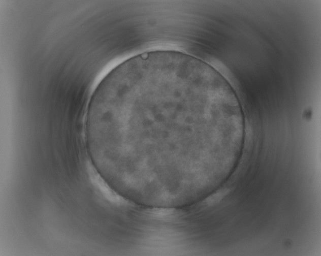 X0000113181052200910161327