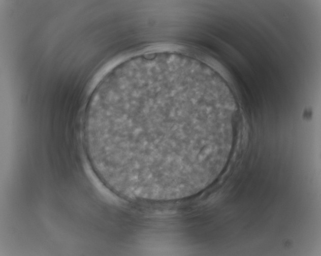X0000113181055200910161327