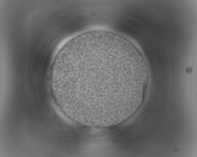 X0000113181056200910161327