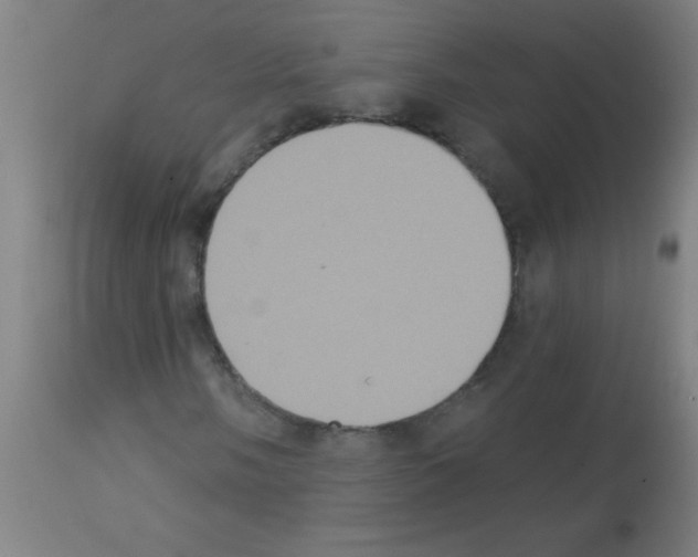 X0000113181058200910161326