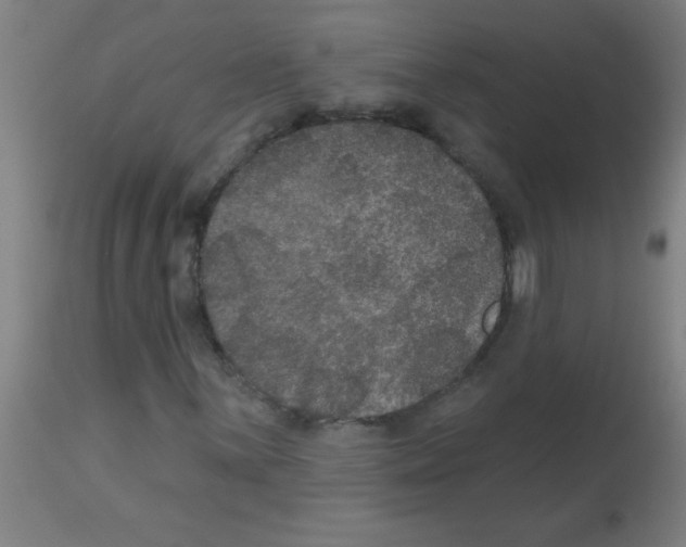 X0000113181059200910161326