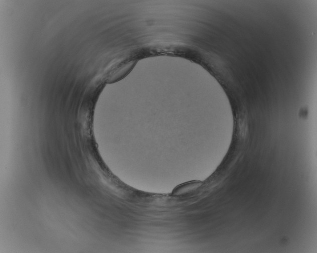 X0000113181060200910161326