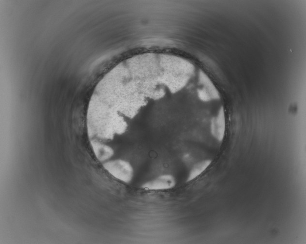 X0000113181063200910161326
