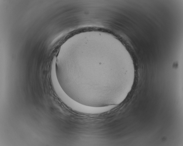 X0000113181064200910161326