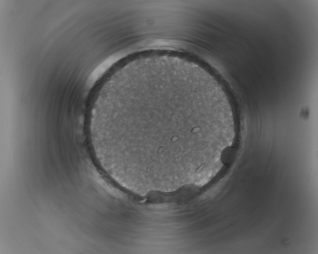 X0000113181066200910161326