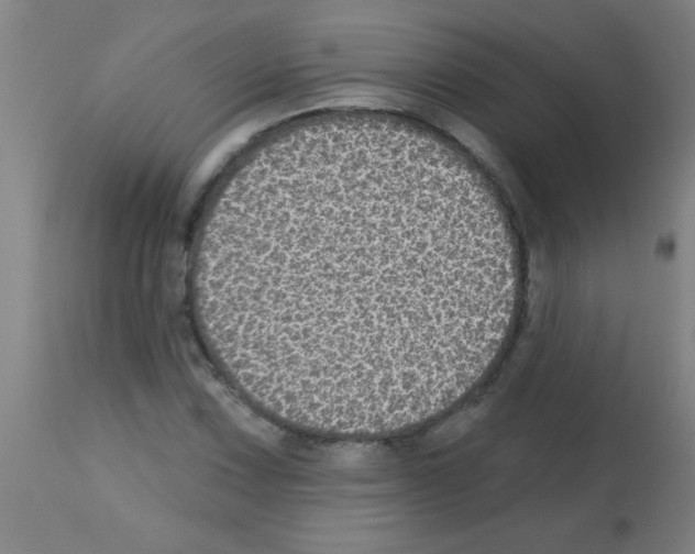 X0000113181067200910161326