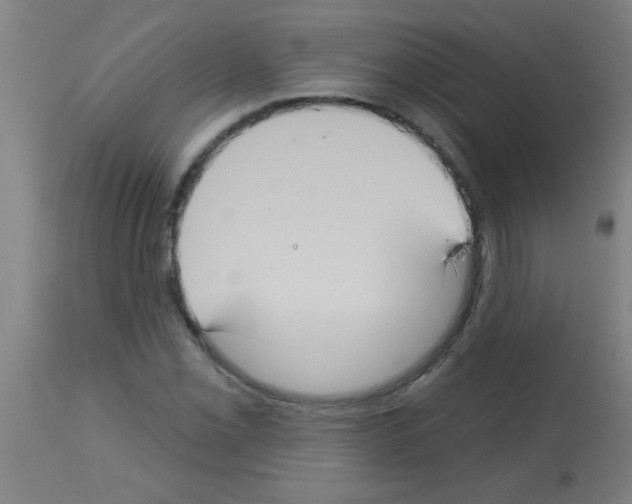 X0000113181069200910161326