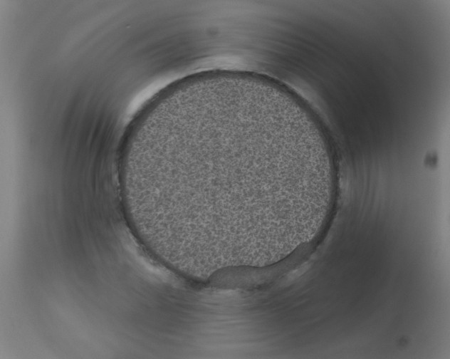 X0000113181070200910161326