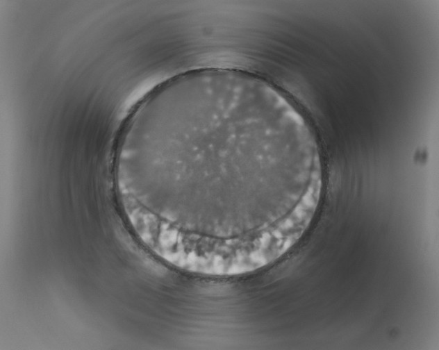 X0000113181071200910161326
