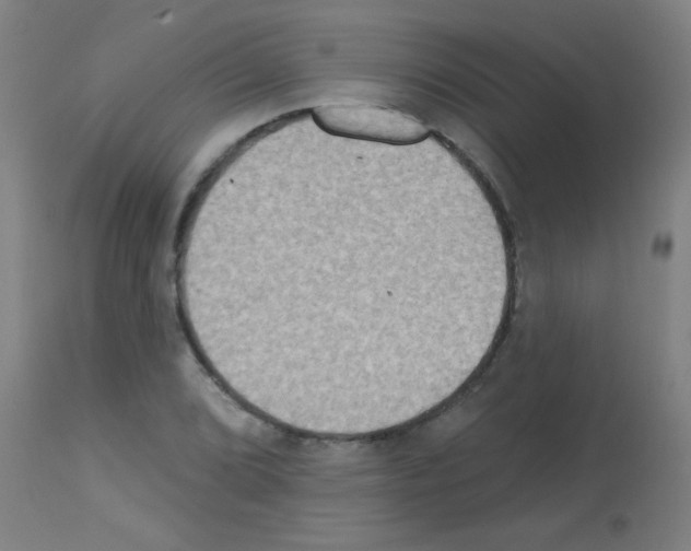 X0000113181072200910161326