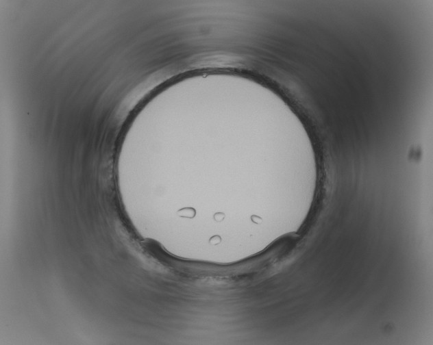 X0000113181073200910161326