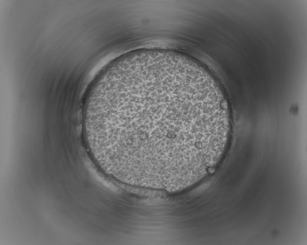 X0000113181075200910161326