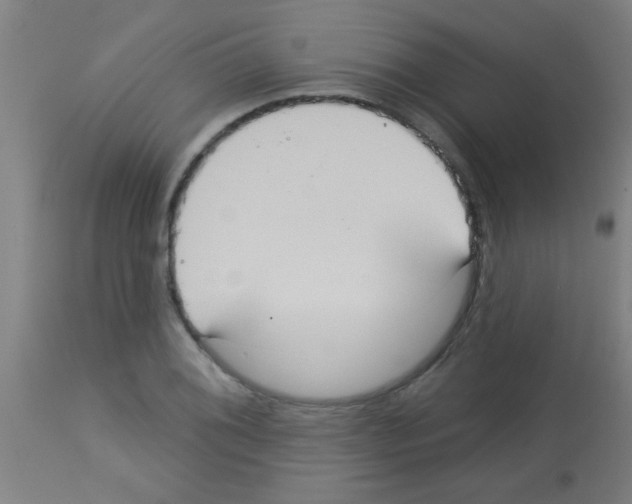X0000113181076200910161326