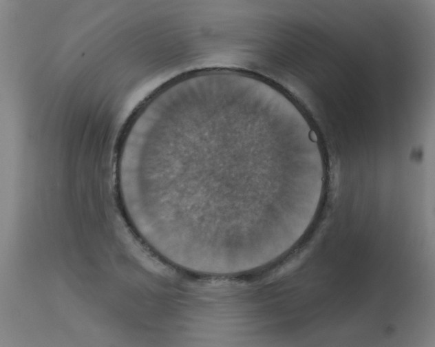 X0000113181077200910161326