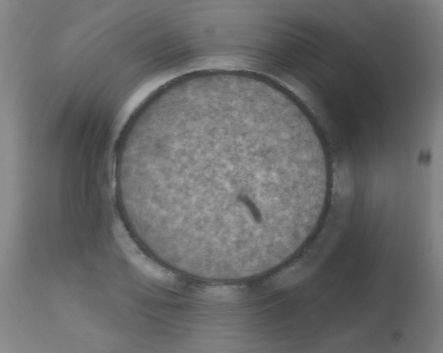 X0000113181078200910161326