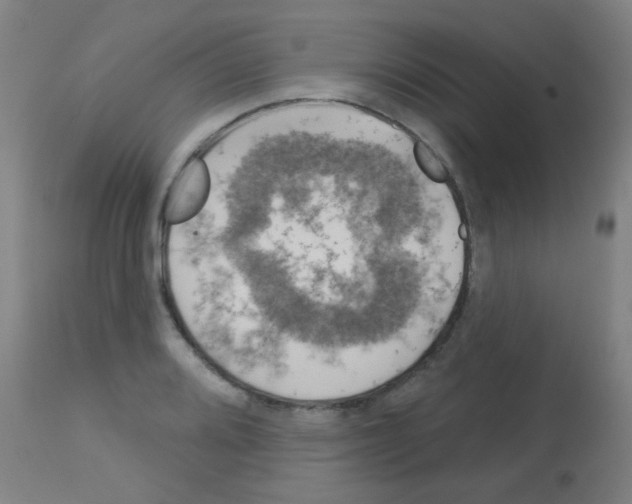 X0000113181080200910161326