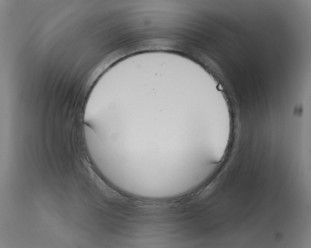 X0000113181081200910161326
