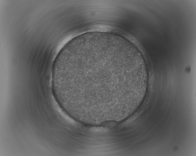 X0000113181083200910161326