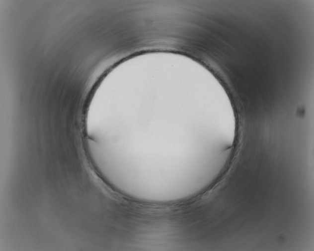 X0000113181085200910161326