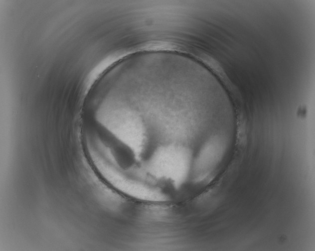 X0000113181086200910161326
