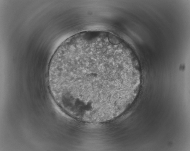 X0000113181087200910161326