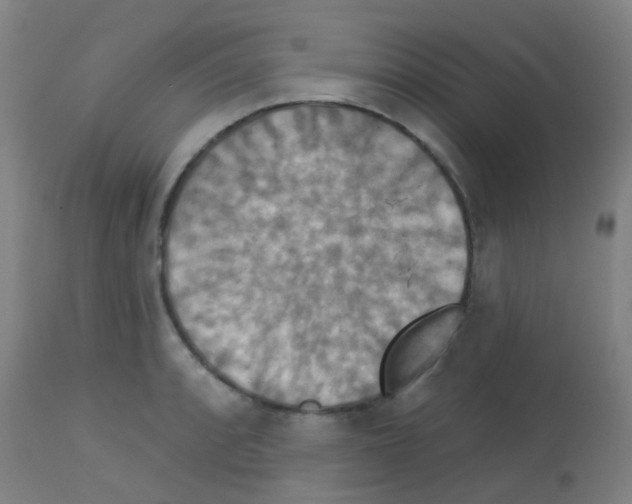 X0000113181088200910161326