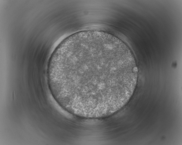 X0000113181091200910161326