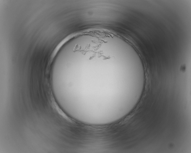 X0000113181092200910161326